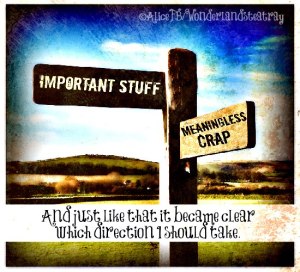 943482_285711354899779_2117760518_n